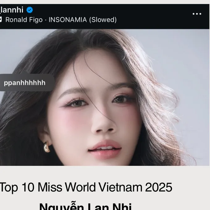 Nguyễn Lan Nhi trong hồ sơ năng lực của Phạm Phương Anh