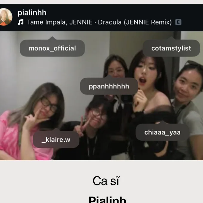 PiaLinh trong hồ sơ năng lực của Phạm Phương Anh